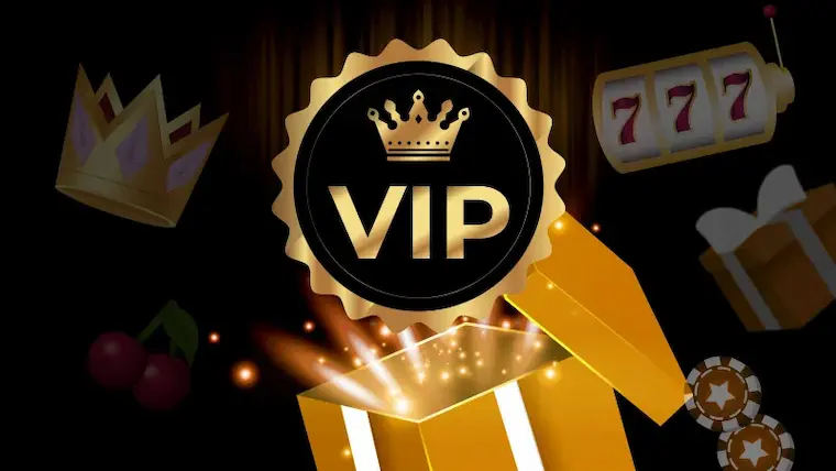 Basic information about 50JILI VIP members