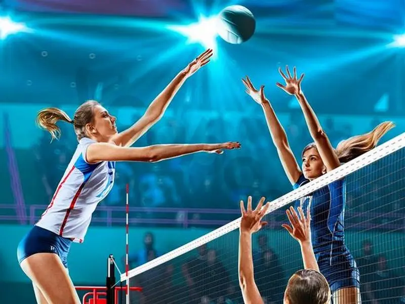 Instructions for betting on volleyball at reputable bookmaker 50JILI